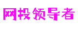 福建省厦门市网投领导者科技股份有限公司